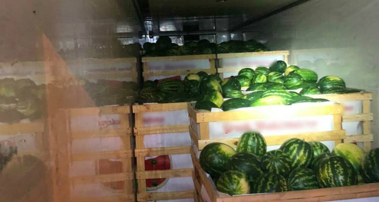 &Epsilon;&kappa;&rho;&upsilon;&beta;&alpha;&nu; &alpha;&lambda;&lambda;&omicron;&delta;&alpha;&pi;&omicron;ύ&sigmaf; &sigma;&epsilon; &phi;&omicron;&rho;&tau;&eta;&gamma;ό &mu;&epsilon; &kappa;&alpha;&rho;&pi;&omicron;ύ&zeta;&iota;&alpha; | &Epsilon;&xi;&alpha;&rho;&theta;&rho;ώ&theta;&eta;&kappa;&epsilon; &eta; &epsilon;&gamma;&kappa;&lambda;&eta;&mu;&alpha;&tau;&iota;&kappa;ή &omicron;&rho;&gamma;ά&nu;&omega;&sigma;&eta;