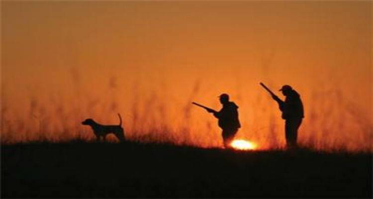 &Tau;&alpha;&kappa;&tau;&iota;&kappa;ή &Gamma;&epsilon;&nu;&iota;&kappa;ή &Sigma;&upsilon;&nu;έ&lambda;&epsilon;&upsilon;&sigma;&eta; &kappa;&alpha;&iota; &alpha;&rho;&chi;&alpha;&iota;&rho;&epsilon;&sigma;ί&epsilon;&sigmaf; &gamma;&iota;&alpha; &tau;&omicron;&nu; &Kappa;&upsilon;&nu;&eta;&gamma;&epsilon;&tau;&iota;&kappa;ό &Sigma;ύ&lambda;&lambda;&omicron;&gamma;&omicron; &Lambda;ή&mu;&nu;&omicron;&upsilon;