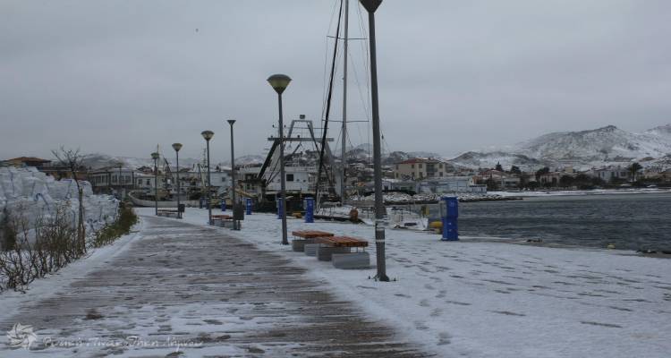 &Pi;&epsilon;&rho;&iota;&phi;έ&rho;&epsilon;&iota;&alpha; &Beta;&omicron;&rho;&epsilon;ί&omicron;&upsilon; &Alpha;&iota;&gamma;&alpha;ί&omicron;&upsilon;: &Epsilon;&nu;&eta;&mu;έ&rho;&omega;&sigma;&eta; &alpha;&pi;ό &tau;&eta; &Delta;&iota;&epsilon;ύ&theta;&upsilon;&nu;&sigma;&eta; &Pi;&omicron;&lambda;&iota;&tau;&iota;&kappa;ή&sigmaf; &Pi;&rho;&omicron;&sigma;&tau;&alpha;&sigma;ί&alpha;&sigmaf; &epsilon;&nu;ό&psi;&epsilon;&iota; &tau;&eta;&sigmaf; &kappa;&alpha;&kappa;&omicron;&kappa;&alpha;&iota;&rho;ί&alpha;&sigmaf;