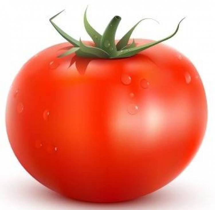 Η Χαμένη Γεύση της Τομάτας