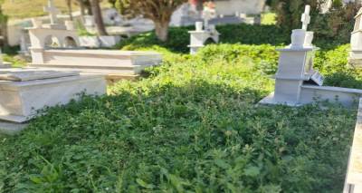 &Kappa;&rho;&iota;&tau;&iota;&kappa;ή &sigma;&tau;&eta; &Delta;&eta;&mu;&omicron;&tau;&iota;&kappa;ή &alpha;&rho;&chi;ή &alpha;&pi;ό &tau;&omicron;&nu; &pi;&rho;ώ&eta;&nu; &Pi;&rho;ό&epsilon;&delta;&rho;&omicron; &Delta;ά&phi;&nu;&eta;&sigmaf;