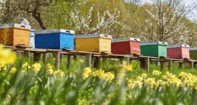 Ά&mu;&epsilon;&sigma;&eta; &sigma;&tau;ή&rho;&iota;&xi;&eta; &sigma;&tau;&omicron;&upsilon;&sigmaf; Έ&lambda;&lambda;&eta;&nu;&epsilon;&sigmaf; &mu;&epsilon;&lambda;&iota;&sigma;&sigma;&omicron;&kappa;ό&mu;&omicron;&upsilon;&sigmaf; &zeta;&eta;&tau;ά &tau;&omicron; &Pi;&Alpha;&Sigma;&Omicron;&Kappa; - &Kappa;&Iota;&Nu;&Alpha;&Lambda;