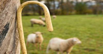 609.646,43€ στους κτηνοτρόφους της Λήμνου και της Λέσβου