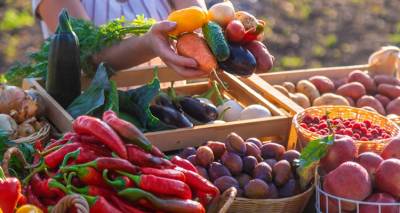 &Epsilon;&rho;&gamma;&alpha;&sigma;&tau;ή&rho;&iota; &Lambda;&alpha;&chi;&alpha;&nu;&iota;&kappa;ώ&nu; &sigma;&tau;&eta; &Lambda;ή&mu;&nu;&omicron; &alpha;&pi;ό &tau;&omicron; Medina