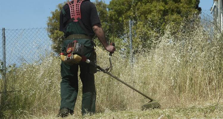 Παράταση ως τις 15 Ιουνίου για τον καθαρισμό οικοπέδων: Όσα πρέπει να κάνουν οι ιδιοκτήτες, ποια είναι τα πρόστιμα