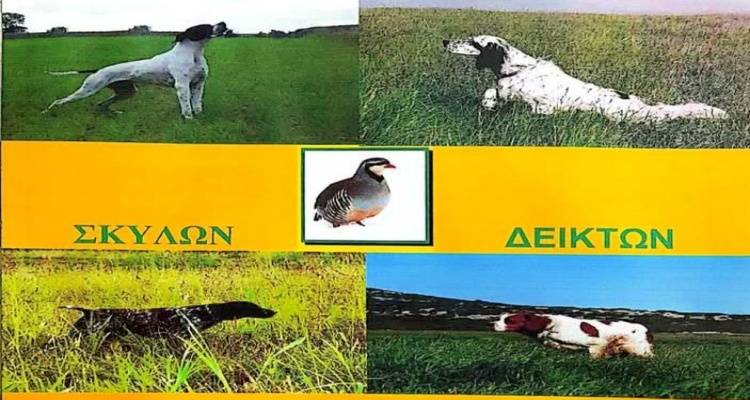 &Alpha;&gamma;ώ&nu;&epsilon;&sigmaf; &Sigma;&kappa;ύ&lambda;&omega;&nu; &Delta;&epsilon;&iota;&kappa;&tau;ώ&nu; &sigma;&tau;&eta; &Lambda;ή&mu;&nu;&omicron;: &Tau;&omicron; &Sigma;&alpha;&beta;&beta;&alpha;&tau;&omicron;&kappa;ύ&rho;&iota;&alpha;&kappa;&omicron; 21-22 &Mu;&alpha;&rho;&tau;ί&omicron;&upsilon;