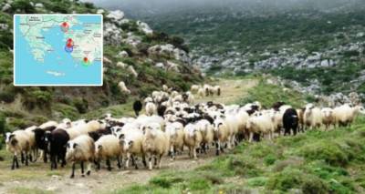 &Sigma;&epsilon; &epsilon;&pi;&iota;&phi;&upsilon;&lambda;&alpha;&kappa;ή &eta; &Lambda;ή&mu;&nu;&omicron;&sigmaf; &gamma;&iota;&alpha; &tau;&omicron;&nu; &Alpha;&phi;&theta;ώ&delta;&eta; &Pi;&upsilon;&rho;&epsilon;&tau;ό | &Mu;έ&tau;&rho;&alpha; &pi;&rho;ό&lambda;&eta;&psi;&eta;&sigmaf; &alpha;&pi;ό &tau;&iota;&sigmaf; &kappa;&tau;&eta;&nu;&iota;&alpha;&tau;&rho;&iota;&kappa;έ&sigmaf; &alpha;&rho;&chi;έ&sigmaf;