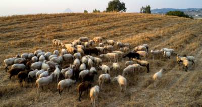 &Sigma;&tau;&eta;&nu; &epsilon;&upsilon;&rho;ύ&tau;&epsilon;&rho;&eta; &pi;&epsilon;&rho;&iota;&omicron;&chi;ή &tau;&omega;&nu; &Lambda;ύ&chi;&nu;&omega;&nu; &tau;&omicron; ύ&pi;&omicron;&pi;&tau;&omicron; &kappa;&rho;&omicron;ύ&sigma;&mu;&alpha; &epsilon;&upsilon;&lambda;&omicron;&gamma;&iota;ά&sigmaf; | &Delta;ή&lambda;&omega;&sigma;&eta; &Epsilon;. &Tau;&sigma;&omicron;&mu;&pi;&alpha;&nu;έ&lambda;&lambda;&eta;, &Pi;&rho;&omicron;ϊ&sigma;&tau;&alpha;&mu;έ&nu;&omicron;&upsilon; &tau;&eta;&sigmaf; &Delta;&iota;&epsilon;ύ&theta;&upsilon;&nu;&sigma;&eta;&sigmaf; &Kappa;&tau;&eta;&nu;&iota;&alpha;&tau;&rho;&iota;&kappa;ή&sigmaf;