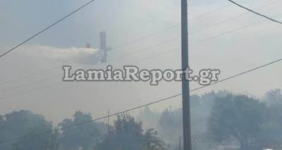 &Phi;&omega;&tau;&iota;ά &sigma;&tau;&eta; &Lambda;&alpha;&mu;ί&alpha;: &Kappa;ά&eta;&kappa;&alpha;&nu; &sigma;&pi;ί&tau;&iota;&alpha; &ndash; &Epsilon;&kappa;&kappa;&epsilon;&nu;ώ&nu;&epsilon;&tau;&alpha;&iota; &tau;&omicron; &beta;ό&rho;&epsilon;&iota;&omicron; &tau;&mu;ή&mu;&alpha; &tau;&eta;&sigmaf; &pi;ό&lambda;&eta;&sigmaf;