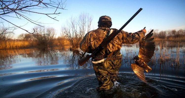 &Omicron; &Kappa;&upsilon;&nu;&eta;&gamma;&epsilon;&tau;&iota;&kappa;ό&sigmaf; &Sigma;ύ&lambda;&lambda;&omicron;&gamma;&omicron;&sigmaf; &Lambda;ή&mu;&nu;&omicron;&upsilon; &epsilon;&nu;&eta;&mu;&epsilon;&rho;ώ&nu;&epsilon;&iota;...