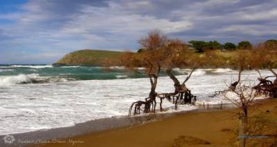 &laquo;&Delta;&epsilon;&lambda;&tau;ί&omicron; &alpha;&nu;&alpha;&gamma;&gamma;&epsilon;&lambda;ί&alpha;&sigmaf; &theta;&upsilon;&epsilon;&lambda;&lambda;&omega;&delta;ώ&nu; &alpha;&nu;έ&mu;&omega;&nu;&raquo;