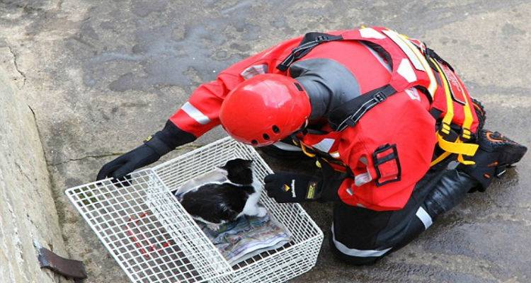 &Epsilon;&pi;&iota;&chi;&epsilon;ί&rho;&eta;&sigma;&eta; &delta;&iota;ά&sigma;&omega;&sigma;&eta;&sigmaf; &gamma;ά&tau;&alpha;&sigmaf; &sigma;&tau;&eta;&nu; &pi;&lambda;&alpha;&tau;&epsilon;ί&alpha; &Kappa;&Tau;&Epsilon;&Lambda; &tau;&eta;&sigmaf; &Mu;ύ&rho;&iota;&nu;&alpha;&sigmaf;