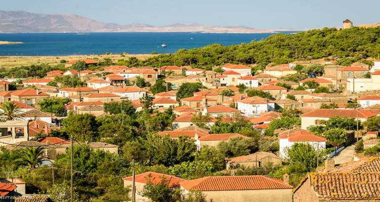 &Rho;&omega;&mu;&alpha;&nu;&omicron;ύ: &Tau;&alpha; &alpha;&pi;&omicron;&tau;&epsilon;&lambda;έ&sigma;&mu;&alpha;&tau;&alpha; &tau;&eta;&sigmaf; &tau;&omicron;&pi;&iota;&kappa;ή&sigmaf; &kappa;&omicron;&iota;&nu;ό&tau;&eta;&tau;&alpha;&sigmaf;