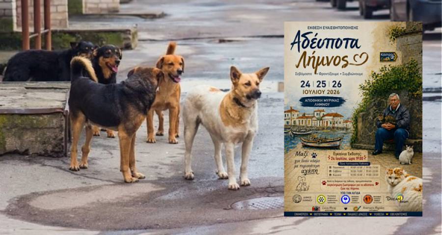 &Eta; &tau;έ&chi;&nu;&eta; &sigma;&tau;&eta;&nu; &upsilon;&pi;&eta;&rho;&epsilon;&sigma;ί&alpha; &tau;&eta;&sigmaf; &phi;&iota;&lambda;&omicron;&zeta;&omega;ί&alpha;&sigmaf; | Έ&kappa;&theta;&epsilon;&sigma;&eta; &gamma;&iota;&alpha; &tau;&alpha; &alpha;&delta;έ&sigma;&pi;&omicron;&tau;&alpha; &tau;&eta;&sigmaf; &Lambda;ή&mu;&nu;&omicron;&upsilon; &sigma;&tau;&eta;&nu; &Alpha;&pi;&omicron;&theta;ή&kappa;&eta; &Mu;ύ&rho;&iota;&nu;&alpha;&sigmaf;