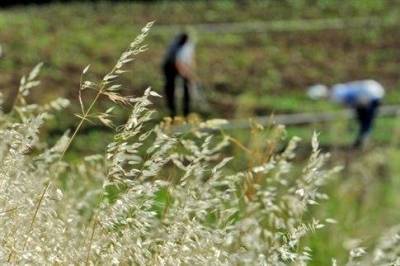 &Mu;&epsilon; &pi;&epsilon;&rho;ί&pi;&omicron;&upsilon; 17 &epsilon;&kappa;&alpha;&tau;. &epsilon;&upsilon;&rho;ώ &epsilon;&nu;&iota;&sigma;&chi;ύ&omicron;&nu;&tau;&alpha;&iota; &nu;έ&omicron;&iota; &alpha;&gamma;&rho;ό&tau;&epsilon;&sigmaf;