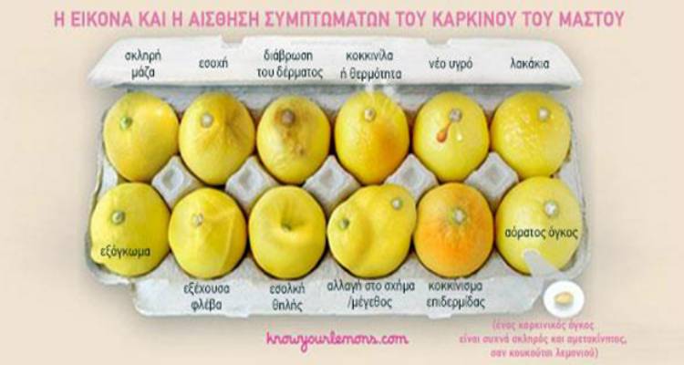 &Mu;&omicron;&iota;&rho;&alpha;&sigma;&tau;&epsilon;ί&tau;&epsilon; &tau;&eta;&nu; &epsilon;&iota;&kappa;ό&nu;&alpha;: &Alpha;&upsilon;&tau;ά &tau;&alpha; 12 &lambda;&epsilon;&mu;ό&nu;&iota;&alpha; &sigma;ώ&zeta;&omicron;&upsilon;&nu; &zeta;&omega;έ&sigmaf; &gamma;&upsilon;&nu;&alpha;&iota;&kappa;ώ&nu; (photo + video)