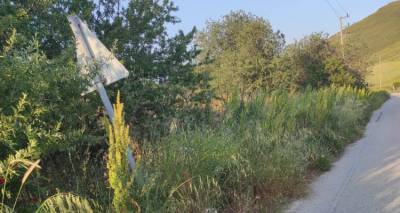 &Lambda;ή&mu;&nu;&omicron;&sigmaf;: &Alpha;&upsilon;&tau;ά &tau;&alpha; &chi;ό&rho;&tau;&alpha; &pi;ό&tau;&epsilon; &theta;&alpha; &kappa;&omicron;&pi;&omicron;ύ&nu;;