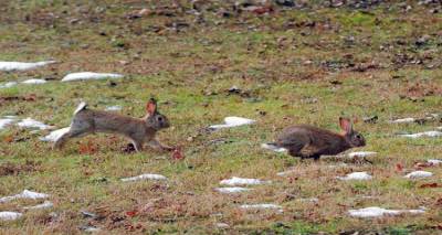 &Lambda;ή&mu;&nu;&omicron;&sigmaf;: &Xi;&epsilon;&kappa;&iota;&nu;ά&nu;&epsilon; &omicron;&iota; &alpha;&iota;&tau;ή&sigma;&epsilon;&iota;&sigmaf; &gamma;&iota;&alpha; &zeta;&eta;&mu;&iota;έ&sigmaf; &alpha;&pi;ό &kappa;&omicron;&upsilon;&nu;έ&lambda;&iota;&alpha;
