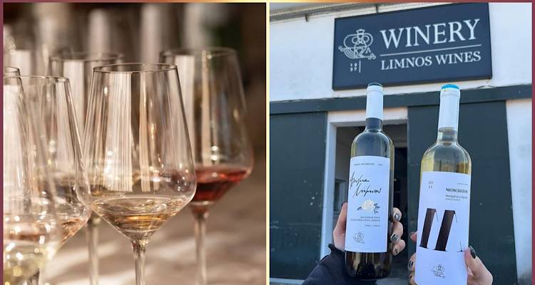 Limnos Wines: &Nu;έ&alpha; &epsilon;&sigma;&omicron;&delta;&epsilon;ί&alpha; &beta;&rho;&alpha;&beta;&epsilon;ύ&sigma;&epsilon;&omega;&nu; &sigma;&tau;&omicron;&nu; 23&omicron; &Delta;&iota;&alpha;&gamma;&omega;&nu;&iota;&sigma;&mu;ό &Omicron;ί&nu;&omicron;&upsilon; &amp; &Alpha;&pi;&omicron;&sigma;&tau;&alpha;&gamma;&mu;ά&tau;&omega;&nu;