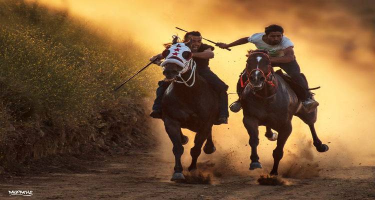 «Με τα μάτια στον ουρανό» πραγματοποιήθηκαν οι ιπποδρομίες στο κτήμα Παλιάς Μητρόπολης (photos)