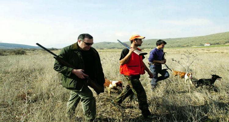 Λιγότερες κουρούνες πια στη Λήμνο | «Θα μπορούσε να γίνει το ίδιο και για τα κουνέλια»;