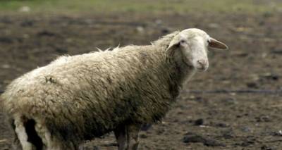 &Lambda;ή&mu;&nu;&omicron;&sigmaf;: &Pi;&lambda;&alpha;ί&sigma;&iota;&omicron; &kappa;&alpha;&iota; &chi;&rho;&omicron;&nu;&omicron;&delta;&iota;ά&gamma;&rho;&alpha;&mu;&mu;&alpha; &lambda;ύ&sigma;&epsilon;&omega;&nu; &zeta;&eta;&tau;&omicron;ύ&nu; &omicron;&iota; &alpha;&gamma;&rho;ό&tau;&epsilon;&sigmaf; | &Pi;&rho;&omicron;&gamma;&rho;&alpha;&mu;&mu;&alpha;&tau;ί&zeta;&omicron;&nu;&tau;&alpha;&iota; &mu;&epsilon;&tau;&alpha;&kappa;&iota;&nu;ή&sigma;&epsilon;&iota;&sigmaf; &kappa;&tau;&eta;&nu;&iota;ά&tau;&rho;&omega;&nu; &alpha;&pi;ό &tau;&eta; &Lambda;έ&sigma;&beta;&omicron;