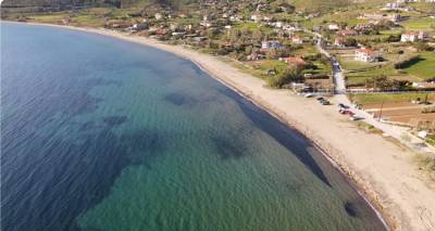 &Phi;&omega;&tau;ό: Nick Sotiriadis