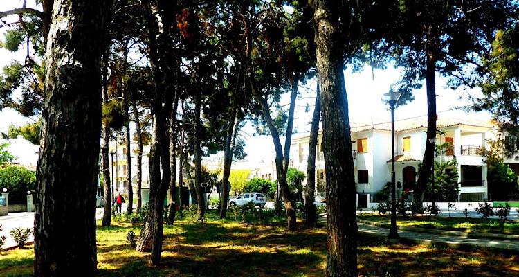 Πάρκο Ανδρωνίου: «Κλειστόν» λόγω απεντόμωσης