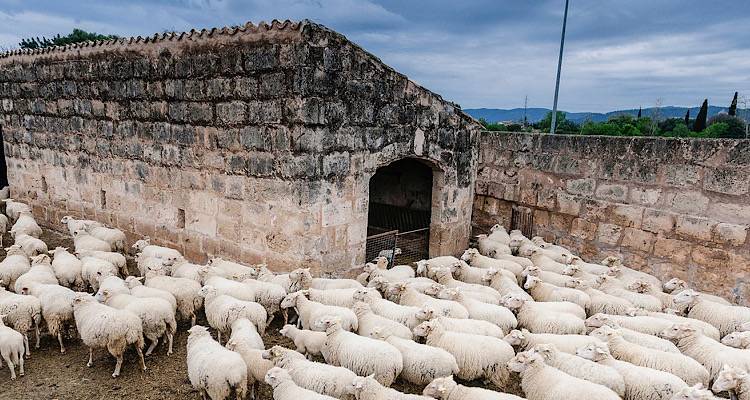 &Lambda;ή&mu;&nu;&omicron;&sigmaf;: &Alpha;&pi;&alpha;&lambda;&lambda;&alpha;&gamma;&mu;έ&nu;&eta; &pi;&epsilon;&rho;&iota;&omicron;&chi;ή &alpha;&pi;ό &tau;&eta;&nu; &epsilon;&upsilon;&lambda;&omicron;&gamma;&iota;ά &alpha;&iota;&gamma;&omicron;&pi;&rho;&omicron;&beta;ά&tau;&omega;&nu; | &Tau;&iota; &iota;&sigma;&chi;ύ&epsilon;&iota; &pi;&lambda;έ&omicron;&nu; &gamma;&iota;&alpha; &tau;&iota;&sigmaf; &alpha;&pi;&omicron;&lambda;&upsilon;&mu;ά&nu;&sigma;&epsilon;&iota;&sigmaf; &omicron;&chi;&eta;&mu;ά&tau;&omega;&nu;