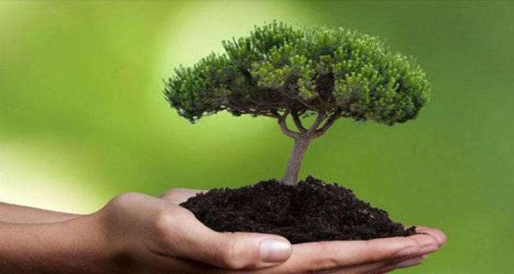 Ο Γ.Γ. Αποκεντρωμένης Διοίκησης Αιγαίου για την Παγκόσμια Ημέρα Δασοπονίας