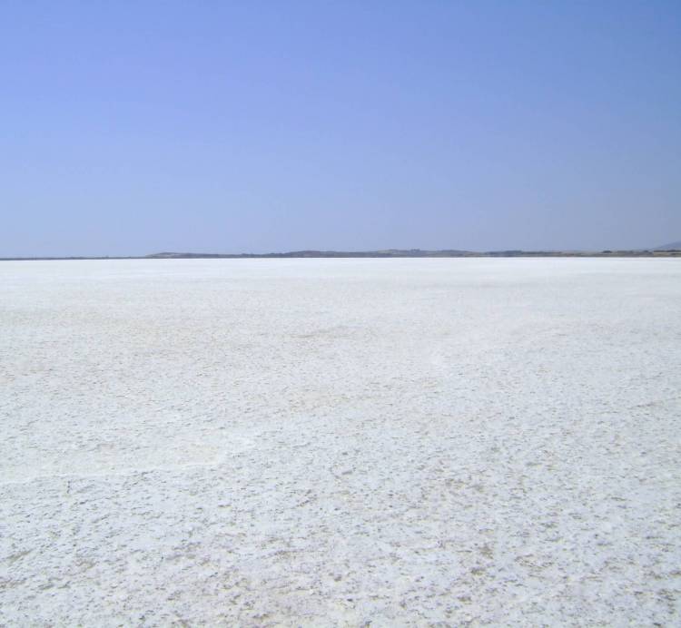 Ηλιακή Αλατοπαραγωγή και Αλυκή Λήμνου | Ημερίδα στο Κοντοπούλι