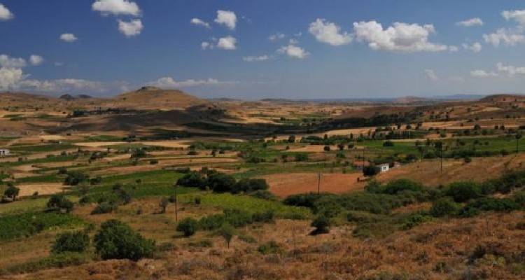 &Alpha;&tau;&sigma;&iota;&kappa;ή: &Pi;&rho;&omicron;&chi;&omega;&rho;ά &omicron; &alpha;&nu;&alpha;&delta;&alpha;&sigma;&mu;ό&sigmaf; | &Sigma;&epsilon; &alpha;&nu;ά&rho;&tau;&eta;&sigma;&eta; &tau;&alpha; &sigma;&tau;&omicron;&iota;&chi;&epsilon;ί&alpha;, &xi;&epsilon;&kappa;&iota;&nu;&omicron;ύ&nu; &omicron;&iota; &delta;&eta;&lambda;ώ&sigma;&epsilon;&iota;&sigmaf; &pi;&rho;&omicron;&tau;ί&mu;&eta;&sigma;&eta;&sigmaf;