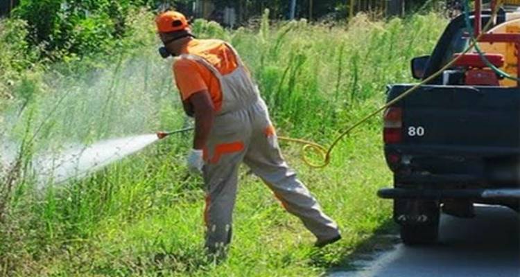 Έως 26 Μαΐου οι προσφορές για το πρόγραμμα καταπολέμησης κουνουπιών στη Λήμνο