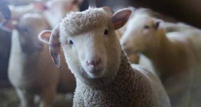 &Pi;&rho;&omicron;&beta;&lambda;&eta;&mu;&alpha;&tau;&iota;&sigma;&mu;ό&sigmaf; &gamma;&iota;&alpha; &tau;&omicron; &delta;&epsilon;ύ&tau;&epsilon;&rho;&omicron; &epsilon;&pi;&iota;&beta;&epsilon;&beta;&alpha;&iota;&omega;&mu;έ&nu;&omicron; &kappa;&rho;&omicron;ύ&sigma;&mu;&alpha; &epsilon;&upsilon;&lambda;&omicron;&gamma;&iota;ά&sigmaf; &sigma;&tau;&eta; &Lambda;ή&mu;&nu;&omicron; | &Alpha;&nu;&eta;&sigma;&upsilon;&chi;ί&alpha; &gamma;&iota;&alpha; &tau;&eta;&nu; &epsilon;&xi;ά&pi;&lambda;&omega;&sigma;&eta; &tau;&eta;&sigmaf; &nu;ό&sigma;&omicron;&upsilon; &sigma;&tau;&omicron; &nu;&eta;&sigma;ί