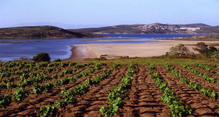 Λήμνος: Ορατός ο φόβος για λειψυδρία τους επόμενους μήνες