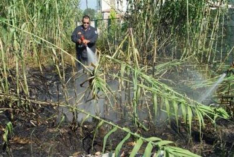 &Phi;&omega;&tau;&iota;ά &alpha;&pi;ό &tau;&sigma;&iota;&gamma;ά&rho;&omicron; &epsilon;&chi;&theta;έ&sigmaf; &sigma;&tau;&eta; &Lambda;ή&mu;&nu;&omicron;