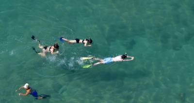 &Omicron; &kappa;&alpha;ύ&sigma;&omega;&nu;&alpha;&sigmaf; ά&lambda;&lambda;&alpha;&xi;&epsilon; &tau;&eta; &theta;&epsilon;&rho;&mu;&omicron;&kappa;&rho;&alpha;&sigma;ί&alpha; &sigma;&tau;&eta; &theta;ά&lambda;&alpha;&sigma;&sigma;&alpha;: &Pi;ό&sigma;&omicron; &zeta;&epsilon;&sigma;&tau;ά&theta;&eta;&kappa;&alpha;&nu; &Iota;ό&nu;&iota;&omicron; &kappa;&alpha;&iota; &Alpha;&iota;&gamma;&alpha;ί&omicron;