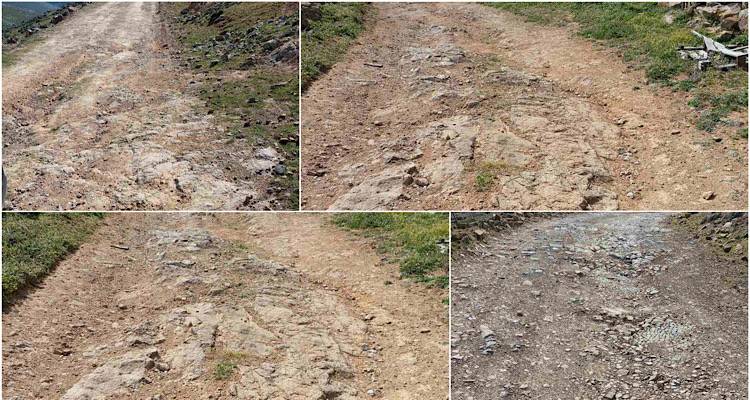 &Beta;ί&gamma;&lambda;&alpha;: &Alpha;&gamma;&rho;&omicron;&tau;&iota;&kappa;ό&sigmaf; &delta;&rho;ό&mu;&omicron;&sigmaf; &sigma;&epsilon; &delta;&iota;ά&lambda;&upsilon;&sigma;&eta; | &laquo;&Tau;&rho;ί&alpha; &chi;&rho;ό&nu;&iota;&alpha; &chi;&omega;&rho;ί&sigmaf; &kappa;&alpha;&mu;ί&alpha; &pi;&alpha;&rho;έ&mu;&beta;&alpha;&sigma;&eta;&raquo;