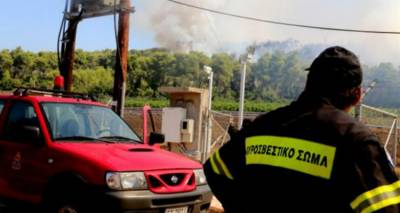 &Pi;&rho;&omicron;&tau;ά&sigma;&epsilon;&iota;&sigmaf; &gamma;&iota;&alpha; &delta;&alpha;&sigma;&omicron;&pi;&rho;&omicron;&sigma;&tau;&alpha;&sigma;ί&alpha; &kappa;&alpha;&iota; &Pi;&omicron;&lambda;&iota;&tau;&iota;&kappa;ή &Pi;&rho;&omicron;&sigma;&tau;&alpha;&sigma;ί&alpha; &upsilon;&pi;έ&beta;&alpha;&lambda;&alpha;&nu; &Sigma;&pi;&iota;&lambda;ά&nu;&eta;&sigmaf;, &Alpha;&rho;&gamma;&upsilon;&rho;&omicron;ύ&delta;&eta;, &Nu;&iota;&kappa;&omicron;&lambda;ά&rho;&alpha;