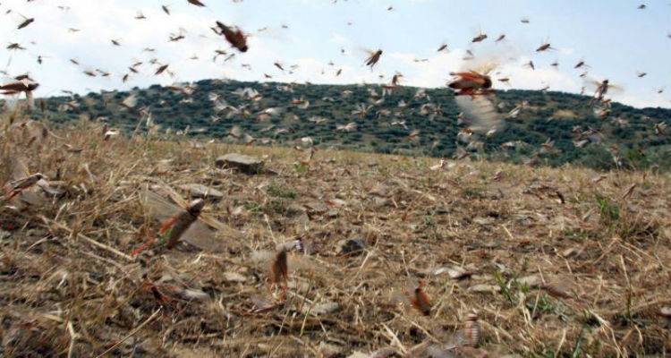 &Xi;&epsilon;&kappa;&iota;&nu;&omicron;ύ&nu; &tau;&alpha; &mu;έ&tau;&rho;&alpha; &pi;&rho;ό&lambda;&eta;&psi;&eta;&sigmaf; &gamma;&iota;&alpha; &tau;&eta;&nu; &alpha;&nu;&tau;&iota;&mu;&epsilon;&tau;ώ&pi;&iota;&sigma;&eta; &tau;&omega;&nu; &alpha;&kappa;&rho;&iota;&delta;ώ&nu; &sigma;&tau;&eta; &Lambda;ή&mu;&nu;&omicron;