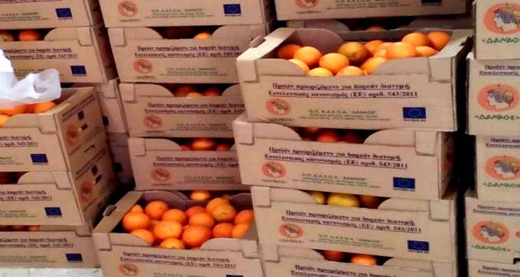 &Delta;&omega;&rho;&epsilon;ά&nu; &delta;&iota;&alpha;&nu;&omicron;&mu;ή &phi;&rho;&omicron;ύ&tau;&omega;&nu; &sigma;&epsilon; &omicron;&iota;&kappa;&omicron;&gamma;έ&nu;&epsilon;&iota;&epsilon;&sigmaf; &tau;&eta;&sigmaf; &Lambda;ή&mu;&nu;&omicron;&upsilon;