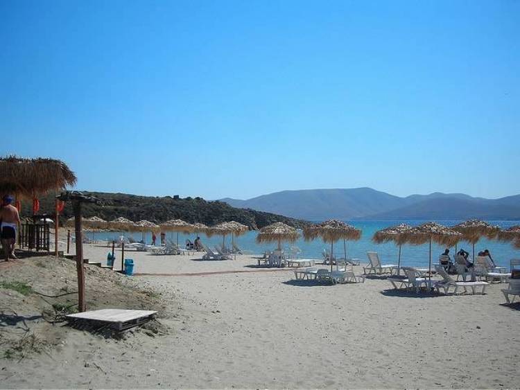 Εμπορικός Σύλλογος περιφέρειας Μούδρου και Κυνοφιλικός όμιλος Λήμνου, καθαρίζουν παραλίες της ανατολικής Λήμνου