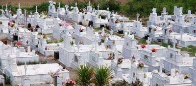 &Tau;&eta;&nu; έ&theta;&alpha;&psi;&alpha;&nu; &zeta;&omega;&nu;&tau;&alpha;&nu;ή &kappa;&alpha;&iota; &pi;έ&theta;&alpha;&nu;&epsilon; &alpha;&pi;ό &alpha;&sigma;&phi;&upsilon;&xi;ί&alpha; &sigma;&tau;&omicron; &phi;έ&rho;&epsilon;&tau;&rho;&omicron;