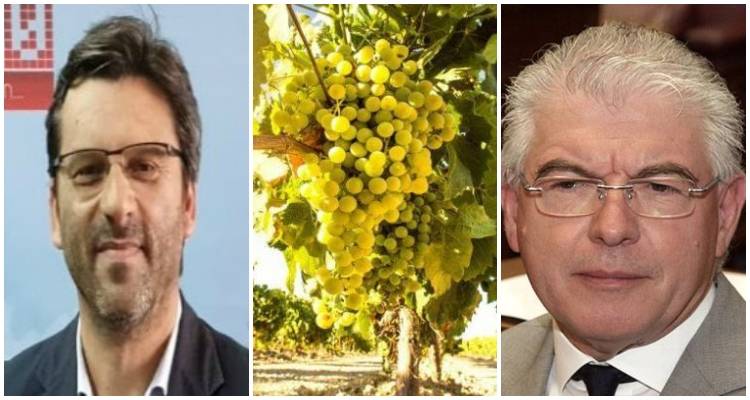 Επιστολή Μαρινάκη στον Πρόεδρο του ΕΛΓΑ: «Να ενεργοποιηθεί αναγγελία ζημιάς για την παραγωγή σταφυλιού»