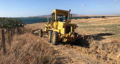&Epsilon;&pi;&iota;&kappa;&omicron;&iota;&nu;&omega;&nu;ί&alpha; &Kappa;&upsilon;&rho;&iota;&alpha;&zeta;ή - &Gamma;&alpha;&rho;&omicron;&phi;&alpha;&lambda;&lambda;ί&delta;&eta; &gamma;&iota;&alpha; &tau;&eta;&nu; &alpha;&pi;&omicron;&kappa;&alpha;&tau;ά&sigma;&tau;&alpha;&sigma;&eta; &tau;&omicron;&upsilon; &alpha;&gamma;&rho;&omicron;&tau;&iota;&kappa;&omicron;ύ &omicron;&delta;&iota;&kappa;&omicron;ύ &delta;&iota;&kappa;&tau;ύ&omicron;&upsilon; &tau;&eta;&sigmaf; &Kappa;&alpha;&lambda;&lambda;&iota;&theta;έ&alpha;&sigmaf;