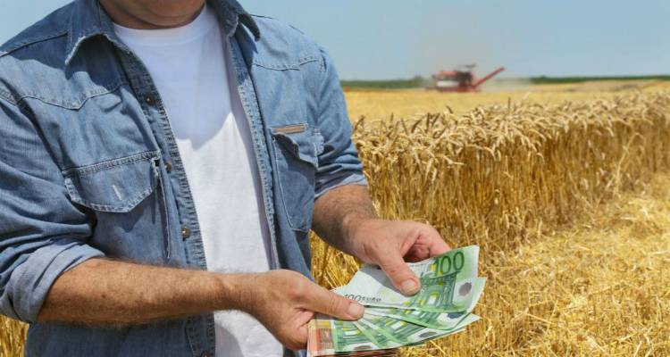 ΕΛΓΑ: Αποζημιώσεις 67 χιλ. ευρώ σε αγρότες του Νομού Λέσβου την Παρασκευή