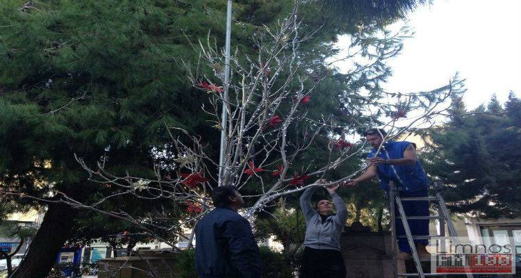&Omicron;&lambda;&omicron;&kappa;&lambda;&eta;&rho;ώ&nu;&epsilon;&tau;&alpha;&iota; &tau;&omicron; &laquo;&Delta;έ&nu;&tau;&rho;&omicron; &tau;&omega;&nu; &Epsilon;&upsilon;&chi;ώ&nu;&raquo; &sigma;&tau;&eta;&nu; &Pi;&lambda;&alpha;&tau;&epsilon;ί&alpha; &Upsilon;&psi;&iota;&pi;ύ&lambda;&eta;&sigmaf; (photos)