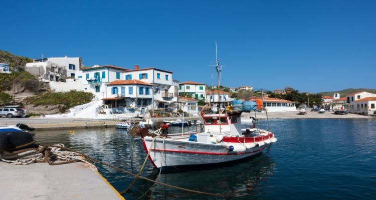 &Kappa;&omega;&nu;&sigma;&tau;&alpha;&nu;&tau;ί&nu;&omicron;&sigmaf; &Sigma;&iota;&nu;ά&nu;&eta;&sigmaf;: &laquo;&Eta; &epsilon;&pi;ό&mu;&epsilon;&nu;&eta; &mu;έ&rho;&alpha; &mu;&alpha;&sigmaf; &beta;&rho;ί&sigma;&kappa;&epsilon;&iota; &mu;&epsilon; ό&rho;&epsilon;&xi;&eta; &gamma;&iota;&alpha; &pi;&omicron;&lambda;ύ &delta;&omicron;&upsilon;&lambda;&epsilon;&iota;ά&raquo;