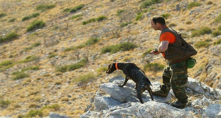 &Pi;&rho;&epsilon;&mu;&iota;έ&rho;&alpha; &gamma;&iota;&alpha; &tau;&omicron; &kappa;&upsilon;&nu;ή&gamma;&iota; &pi;έ&rho;&delta;&iota;&kappa;&alpha;&sigmaf; &sigma;&tau;&eta; &Lambda;ή&mu;&nu;&omicron; &mu;&epsilon; &chi;&alpha;&mu;&eta;&lambda;έ&sigmaf; &alpha;&pi;&omicron;&delta;ό&sigma;&epsilon;&iota;&sigmaf; &lambda;ό&gamma;&omega; &kappa;&alpha;&iota;&rho;&omicron;ύ