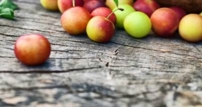 &Tau;&alpha; &lsquo;&rho;&iota;&xi;&epsilon; &omicron; &alpha;έ&rho;&alpha;&sigmaf; &pi;&rho;&iota;&nu; &tau;&eta;&nu; ώ&rho;&alpha; &tau;&omicron;&upsilon;&sigmaf; | &Mu;&iota;&kappa;&rho;ή &ldquo;&zeta;&eta;&mu;&iota;ά&rdquo; &sigma;&tau;&iota;&sigmaf; &alpha;&upsilon;&lambda;έ&sigmaf; &tau;&eta;&sigmaf; &Lambda;ή&mu;&nu;&omicron;&upsilon;